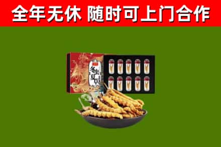 徐汇区烟酒回收冬虫夏草礼盒.jpg